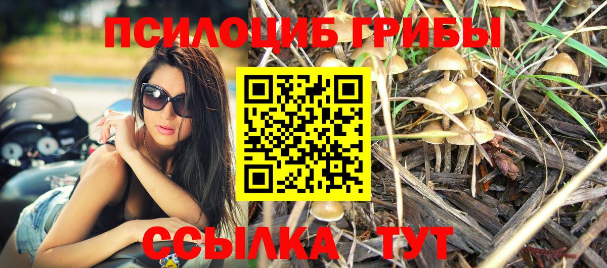 Псилоцибиновые грибы мицелий Киров