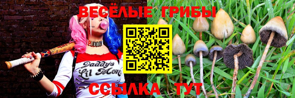 Киров  Галлюциногенные грибы ЛСД  где купить наркоту  Вход с VPN 